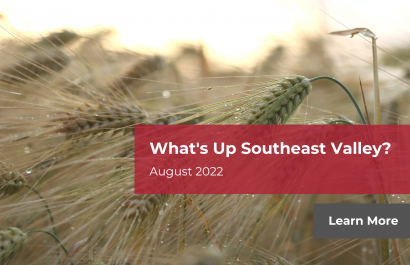 What's Up Southeast Valley? August 2022